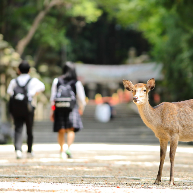 生徒の安否確認から、思い出共有まで